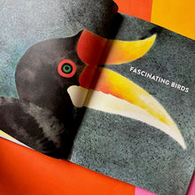 Load image into Gallery viewer, The Call Of The Birds