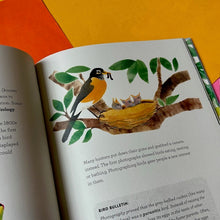 Load image into Gallery viewer, The Call Of The Birds