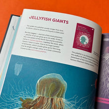 Load image into Gallery viewer, The Jellyfish Garden