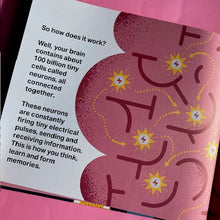 Load image into Gallery viewer, Brains - take a peek inside your mind.