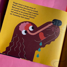 Load image into Gallery viewer, Brains - take a peek inside your mind.