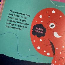 Load image into Gallery viewer, Brains - take a peek inside your mind.