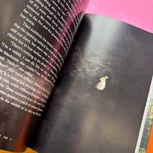 Load image into Gallery viewer, Bunns rabbit