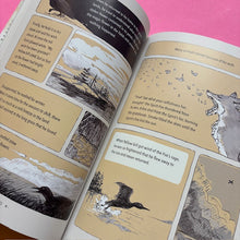 Load image into Gallery viewer, Bunns rabbit