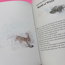 Load image into Gallery viewer, Bunns rabbit