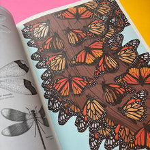 Load image into Gallery viewer, Insectarium Poster Book