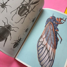 Load image into Gallery viewer, Insectarium Poster Book