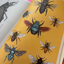 Load image into Gallery viewer, Insectarium Poster Book