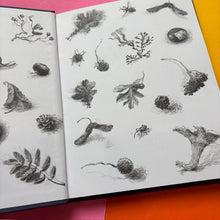 Load image into Gallery viewer, The Notted Island