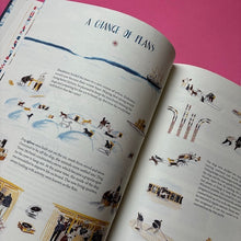 Load image into Gallery viewer, Shackleton's Journey