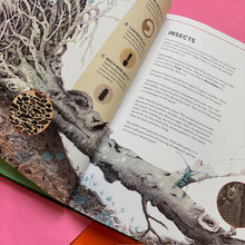 Load image into Gallery viewer, The Tomorrow Tree: How Nature Creates New Life From Old