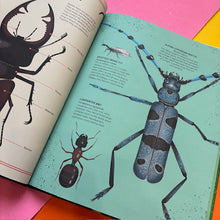 Load image into Gallery viewer, The Tomorrow Tree: How Nature Creates New Life From Old