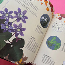 Load image into Gallery viewer, The Tomorrow Tree: How Nature Creates New Life From Old