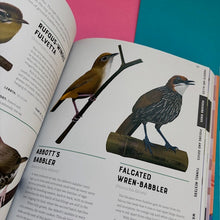 Load image into Gallery viewer, Encyclopedia of Birds