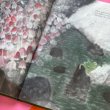 Load image into Gallery viewer, The Other Side of the Rocks