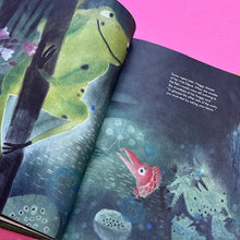 Load image into Gallery viewer, The Other Side of the Rocks