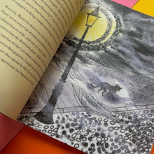 Load image into Gallery viewer, Everyone Sang: A Poem for Every Feeling