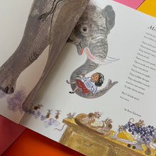 Load image into Gallery viewer, Everyone Sang: A Poem for Every Feeling