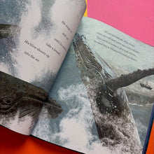 Load image into Gallery viewer, Whale Song