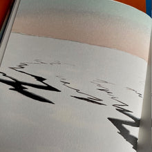 Load image into Gallery viewer, To The Ice