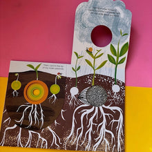 Load image into Gallery viewer, Little Seed