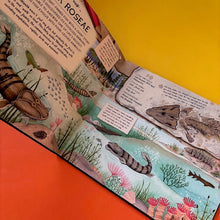 Load image into Gallery viewer, The Fossil Keeper's Treasure : With Amazing Fossils to Touch!