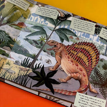 Load image into Gallery viewer, The Fossil Keeper's Treasure : With Amazing Fossils to Touch!