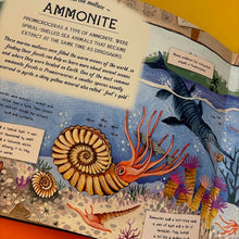 Load image into Gallery viewer, The Fossil Keeper's Treasure : With Amazing Fossils to Touch!