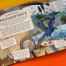 Load image into Gallery viewer, The Fossil Keeper's Treasure : With Amazing Fossils to Touch!