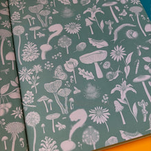 Load image into Gallery viewer, Nature Explained : A Family Guide to 20 Nature Cycles