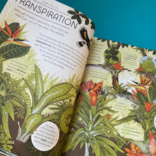 Load image into Gallery viewer, Nature Explained : A Family Guide to 20 Nature Cycles