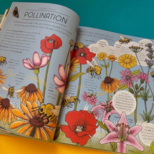 Load image into Gallery viewer, Nature Explained : A Family Guide to 20 Nature Cycles