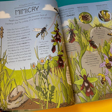 Load image into Gallery viewer, Nature Explained : A Family Guide to 20 Nature Cycles