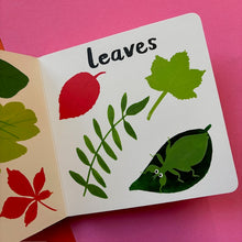 Load image into Gallery viewer, Let's Look At... Nature