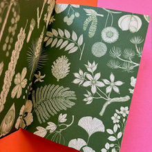 Load image into Gallery viewer, Arboretum Mini Gift Edition
