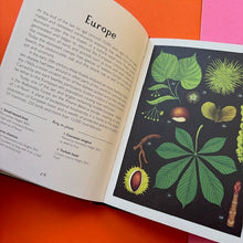 Load image into Gallery viewer, Arboretum Mini Gift Edition