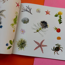 Load image into Gallery viewer, Ada & The Galaxies