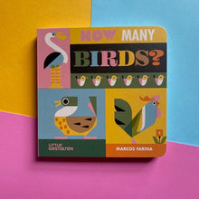 Load image into Gallery viewer, How Many Birds?