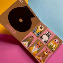 Load image into Gallery viewer, How Many Birds?