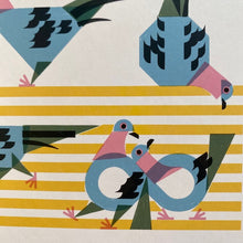 Load image into Gallery viewer, How Many Birds?