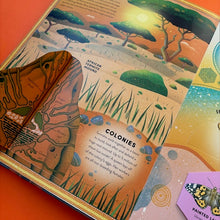 Load image into Gallery viewer, The Incredible Pop-up Bug : With 20 flaps to lift and GIANT pop-ups