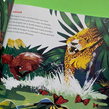 Load image into Gallery viewer, Amazon River