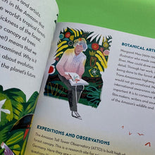 Load image into Gallery viewer, Amazon River