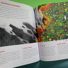 Load image into Gallery viewer, Amazon River