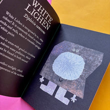 Load image into Gallery viewer, Lichen