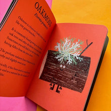 Load image into Gallery viewer, Lichen