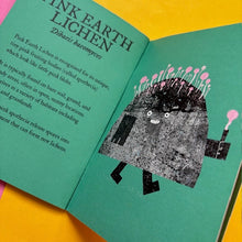 Load image into Gallery viewer, Lichen