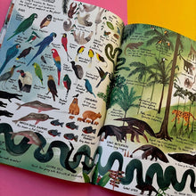 Load image into Gallery viewer, Lots