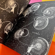 Load image into Gallery viewer, The Night Creatures: Firefly