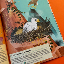 Load image into Gallery viewer, Animals of the Mountains : My Nature Sticker Activity Book